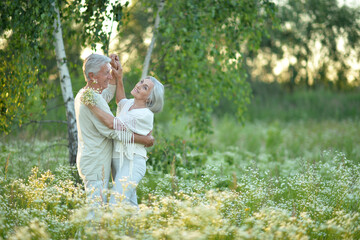 Fototapeta premium Beautiful elderly couple dancing in the park