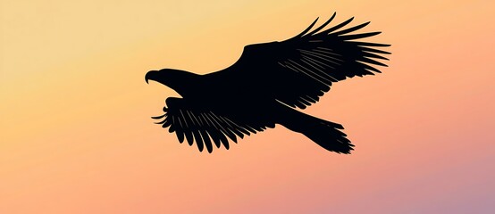 Fototapeta premium Eagle Wildlife Elegant Soaring Eagle Silhouette - Gradient Sky Vector Art 
