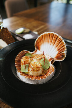 Grilled scallops in a shell with a crispy breadcrumb topping, adorned with fresh microgreens. Gourmet seafood appetizer presented on a black plate with a bed of salt