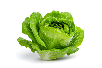 Obraz premium Cabbage isolated on white background