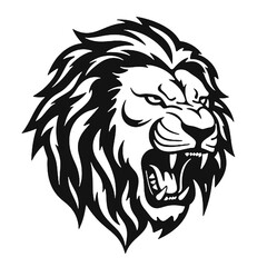 Fototapeta premium head of a lion head
