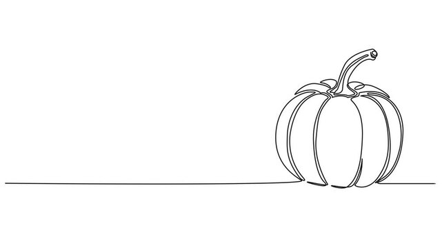 animated continuous single line drawing of a pumpkin, line art animation