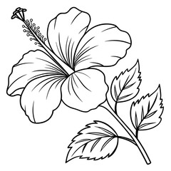 Minimalist Hibiscus Line Art with Stamen