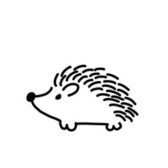 illustration of a hedgehog
