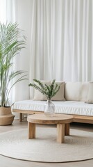 Serene Minimalist Living Room with Natural Elements
