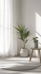 Minimalist Home Decor: Cozy Interior Design with Natural Light