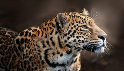 Obraz premium Taunting the Jaguar A Vivid Encounter in the Heart of South American Jungles, Featuring Striking Yellow and Black Patterns, Captured at Dusk with an Intense Atmosphere