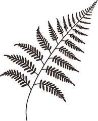 Illustrator Artwork Hand Drawn Vintage Sketch Drawing, green leaves Line Art, Plants Collection branches Floral elements, set of Botanical Illustration Outline leaf, branch Black And White leaves