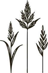 Illustrator Artwork Hand Drawn Vintage Sketch Drawing, green leaves Line Art, Plants Collection branches Floral elements, set of Botanical Illustration Outline leaf, branch Black And White leaves