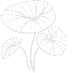 Fototapeta premium Illustrator Artwork Hand Drawn Vintage Sketch Drawing, green leaves Line Art, Plants Collection branches Floral elements, set of Botanical Illustration Outline leaf, branch Black And White leaves