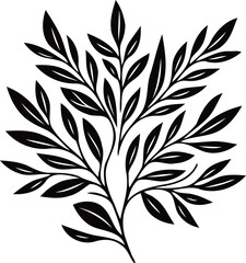 Illustrator Artwork Hand Drawn Vintage Sketch Drawing, green leaves Line Art, Plants Collection branches Floral elements, set of Botanical Illustration Outline leaf, branch Black And White leaves