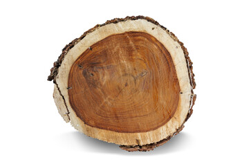 cross section of tree stump isolated on white background. This has clipping path.