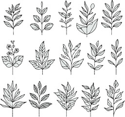 Illustrator Artwork Hand Drawn Vintage Sketch Drawing, green leaves Line Art, Plants Collection branches Floral elements, set of Botanical Illustration Outline leaf, branch Black And White leaves