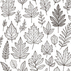 Illustrator Artwork Hand Drawn Vintage Sketch Drawing, green leaves Line Art, Plants Collection branches Floral elements, set of Botanical Illustration Outline leaf, branch Black And White leaves