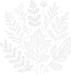 Illustrator Artwork Hand Drawn Vintage Sketch Drawing, green leaves Line Art, Plants Collection branches Floral elements, set of Botanical Illustration Outline leaf, branch Black And White leaves