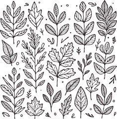 Illustrator Artwork Hand Drawn Vintage Sketch Drawing, green leaves Line Art, Plants Collection branches Floral elements, set of Botanical Illustration Outline leaf, branch Black And White leaves