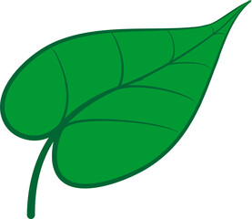 vector illustration, green leaf