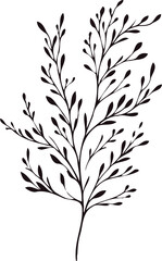 Illustrator Artwork Hand Drawn Vintage Sketch Drawing, green leaves Line Art, Plants Collection branches Floral elements, set of Botanical Illustration Outline leaf, branch Black And White leaves