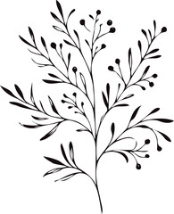 Illustrator Artwork Hand Drawn Vintage Sketch Drawing, green leaves Line Art, Plants Collection branches Floral elements, set of Botanical Illustration Outline leaf, branch Black And White leaves