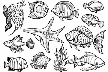 Fish and Starfish Outlines Grouped Together Underwater Aquatic Life Illustration