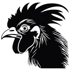 Fototapeta premium head of rooster