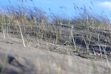 
sand with grass, sky and a blue spot in the upper right corner.