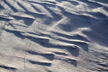 sand with small ridges and shadows.
