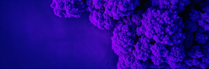 Vibrant abstract texture resembling cauliflower in shades of purple on a dark background
