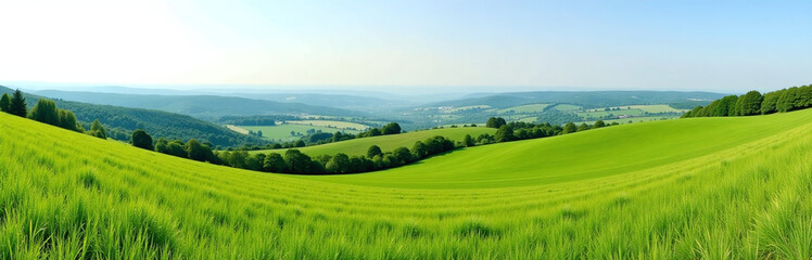 Obraz premium Panoramic View Of A Lush Green Meadow Landscape With Gentle Hills And Serene Atmosphere Stretching Far Into The Distance.