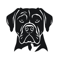 head of a boxer dog