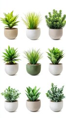 Fototapeta premium Collection of Artificial Plants in Stylish Pots - A Fresh & Modern Home Decor