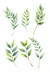Fototapeta premium Hand-painted text watercolor plant leaves small new element material