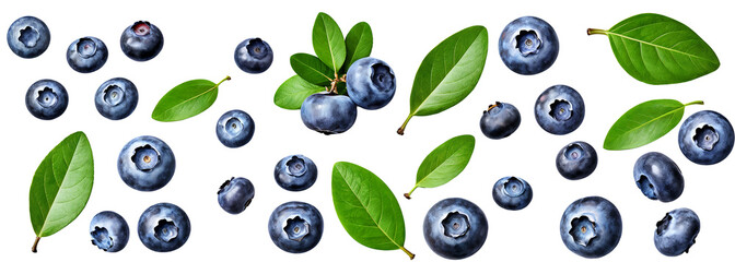 blueberries with leaves on transparent background