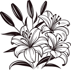 PNG, Hand drawn lilies sketch, lily buds flower, set of flowers vector, illustration outline, botanical black and white line art, lineart leaves and stems in engraving style