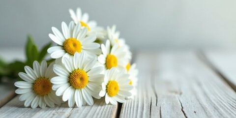Obraz premium A Delicate Bouquet of Freshly Picked Daisies Resting on a Rustic Weathered Wooden Surface