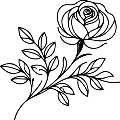 PNG PNG Doodle sketch drawing, rose flower, set of flowers, Botanical illustration flowers outline, black and white roses line art, plant lines, for cards, invitations, banners, posters, engraving log