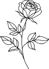 PNG PNG Doodle sketch drawing, rose flower, set of flowers, Botanical illustration flowers outline, black and white roses line art, plant lines, for cards, invitations, banners, posters, engraving log