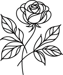 PNG PNG Doodle sketch drawing, rose flower, set of flowers, Botanical illustration flowers outline, black and white roses line art, plant lines, for cards, invitations, banners, posters, engraving log