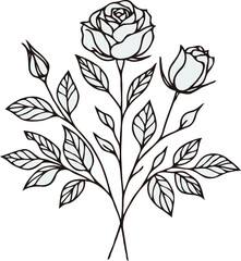 PNG Hand drawn vintage Doodle sketch drawing, rose flower, Collection leaves set of flowers, Botanical illustration outline black and white roses line art, plant buds leaf stem, invitations engraving