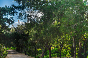 Fototapeta premium Green Park Pathway with Mosque in the Background