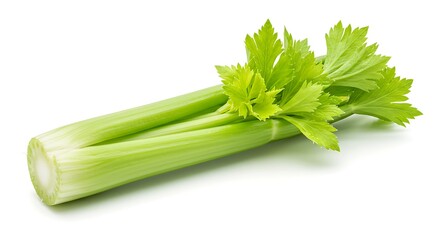 Fototapeta premium A fresh celery stalk with leaves attached on a white background