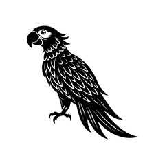  bird silhouette vector isolated on white background