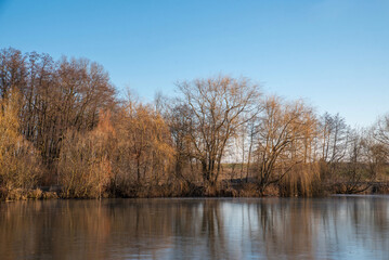 A tree hangs over a frozen lake