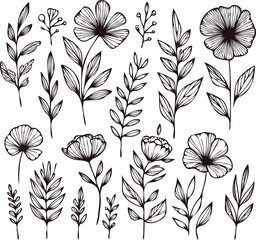 PNG Hand drawn engraved flowers, line art floral, leaves black and white Doodle illustration, set of decorative elements, outline plants stylized drawing, cosmos, chamomile, peony, anemone, poppy 