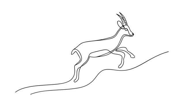 Elegant Line Art Drawing of a Leaping Springbok Antelope