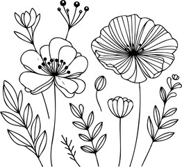 Hand drawn peony sketch, peonies buds flower, leaf, set of anemone flowers vector, illustration outline drawing, poppy botanical black and white line art, lineart leaves and stems in engraving style © Armine