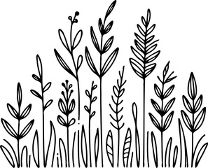 PNG Sketch Illustration, outline black and white flower, floral drawing  wild flowers, Doodle Set of contour leaves and buds. Art of Plants, line art pattern cosmos, Chamomile, daisies, grasses, stems