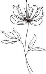 PNG Sketch Illustration, outline black and white flower, floral drawing  wild flowers, Doodle Set of contour leaves and buds. Art of Plants, line art pattern cosmos, Chamomile, daisies, grasses, stems