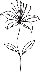 PNG Sketch Illustration, outline black and white flower, floral drawing of wild flowers, Doodle Set of leaves and buds Floral Art of Plants, line art lily 