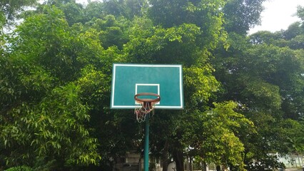 A basketball hoop installed outdoors amidst lush green trees, representing fitness and recreational activities within a natural park environment, perfect for team sports and individual practice.